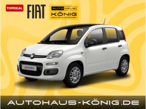 Fiat Panda Neues Modell | Citypaket | Sofort verfügbar❗️