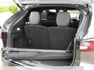 Mazda CX-80 D 254ps Aut. AWD Homura COSO-P CAHO 6 sitze