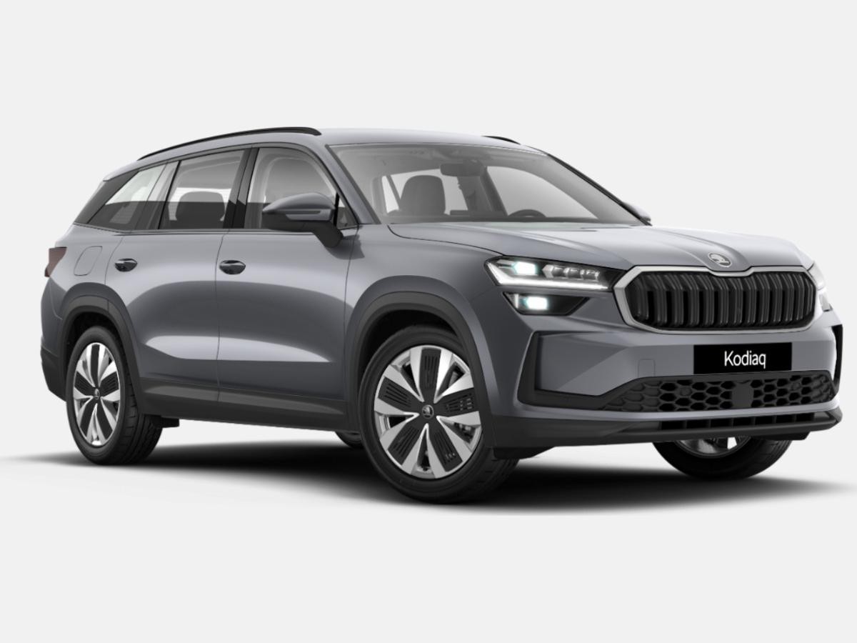 Skoda Kodiaq 1.5 TSI mHEV Selection AHK Leder Matrix