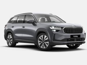 Skoda Kodiaq 1.5 TSI mHEV Selection AHK Leder Matrix