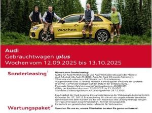 Audi Q3 S-line 45 TFSIe ACC+AHK+LED+NAVI+VC+ALU 19Ž