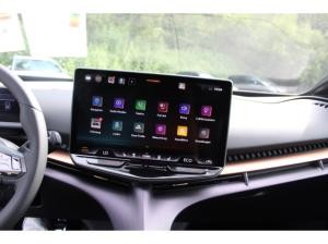 Cupra Tavascan 77kWh Endurance AHK NAVI WÄRMEP. LED ACC SHZ GRA 19