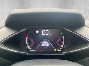 DS Automobiles DS 3 Crossback PT 100 Performance Line SHZ+LM