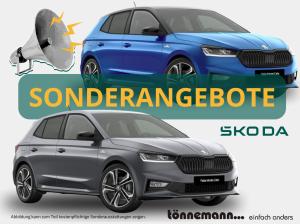 Skoda Fabia Selection *SOFORT-VERFÜGBAR* - WIRELESS SMARTLINK+LED SCHEINWERFER+ASSISTENZSYSTEME