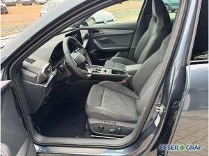 Cupra Formentor VZ 2.0 TSI Black Edition AHK/Pano/360°