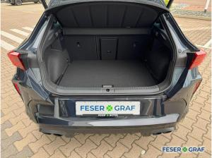 Cupra Formentor VZ 2.0 TSI Black Edition AHK/Pano/360°