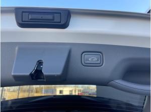 Kia EV3 81.4 EARTH WIC/BUS/UPG/DWP