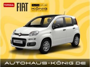 Fiat Panda Neues Modell | Citypaket | Sofort verfügbar❗