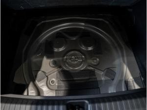 Cupra Terramar 1.5 eTSI 110 kW 150 PS 7-Gang DSG