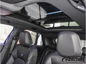 Volkswagen T-Roc 2.0 TSI DSG 4MOTION R VOLL Einer der Letzten!