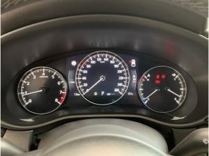 Mazda CX-30 2.0L E-SKYACTIV X 6AT FWD NAGISA 2.0L E-SKYACTIV X 6AT FWD NAGI
