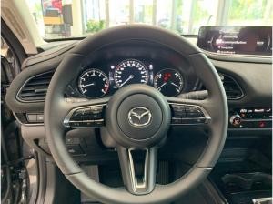 Mazda CX-30 2.0L E-SKYACTIV X 6AT FWD NAGISA 2.0L E-SKYACTIV X 6AT FWD NAGI