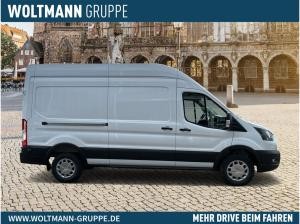 Ford Transit Kasten (TTS)