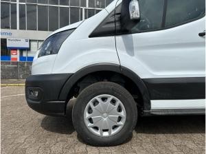 Ford Transit Kasten (TTS)
