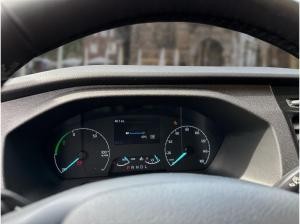 Ford Transit Kasten (TTS)