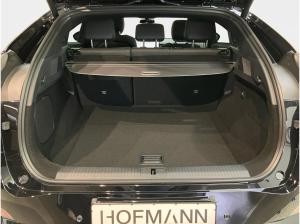 XPENG G6 BEV 88kWh AWD Performance **AHK**