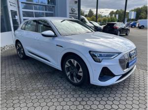 Audi e-tron 50 quattro S line SHZ+LED+KLIMA+PDC+RFK