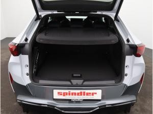 Cupra Tavascan Endurance / Matrix, Pano, 360°Kamera