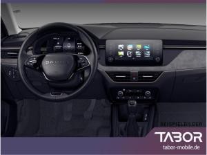 Skoda Kamiq TSI 116 Selec LED SHZ PDC SunS Temp 16Z