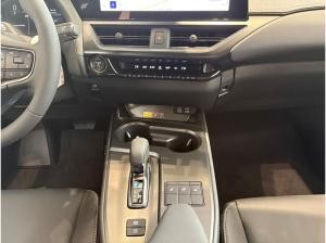 Lexus UX-300h UX 300h F Sport Design Sitzhzg+ Parkassist+Sofort*