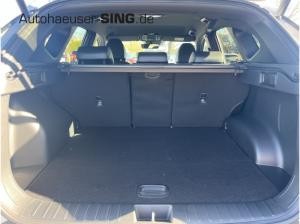 Hyundai TUCSON Automatik 360° Krell Head Up Navi Tempo