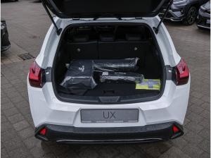 Lexus UX-300h UX 300h F Sport Design Privatleasing