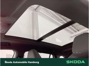Skoda Kodiaq Sportline 2,0 TDI 7-Gang-DSG 4x4