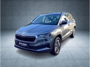Skoda Karoq Tour 2.0 TDI DSG 4x4 eHeck/AHK/pACC
