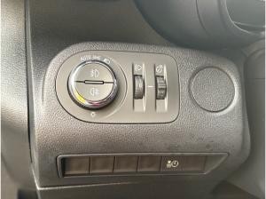 Opel Combo Cargo - e Edition Holzboden