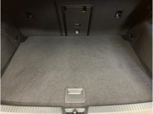 Volkswagen Golf VIII 1.5 eTSI DSG / SOFORT VERFÜGBAR !