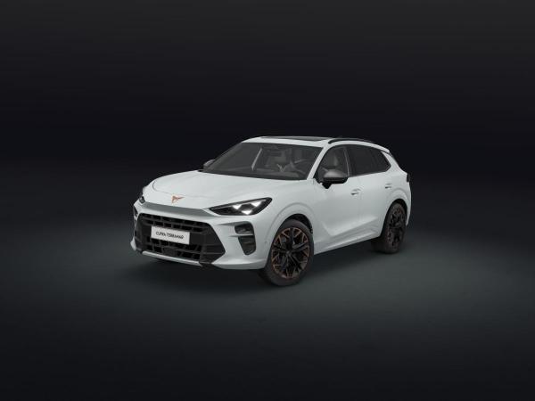 Cupra Terramar VZ 2.0 TSI- 4Drive (Dormagen)