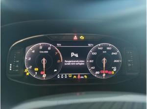 Cupra Ateca 2.0 TSI DSG 4Drive Businesspaket AHK