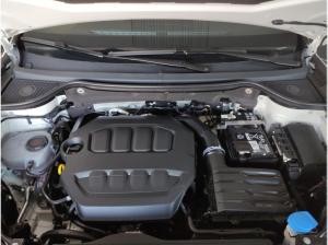 Cupra Ateca 2.0 TSI DSG 4Drive Businesspaket AHK