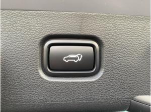 Kia Sportage 🔥Spirit🔥 PE 1.6D 48V DCT7 Drive Sound Head-Up 360° Kamera