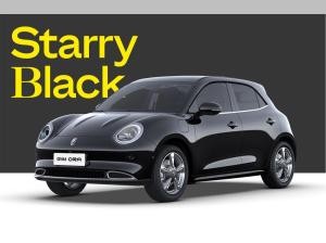 GWM ORA 03 400 PRO+ mit Ganzjahresreifen✔️⚡  Sitzheizung - Schiebedach- CarPlay/Android Auto✔️⚡