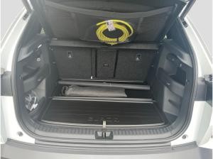 Skoda Elroq RS 4x4 AHK Wärmepumpe 21" MAXX