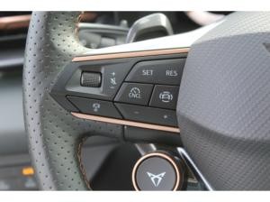 Cupra Terramar 1.5 TSI DSG 5-J-GARANTIE HUD 360 KAMERA NAVI 18