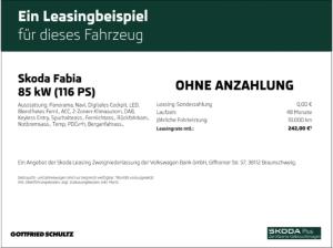 Skoda Fabia Drive TSI DSG Fahrassistenz-Paket Infotainment-Paket Panoramadach fest