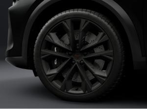 Cupra Formentor VZ Black Edition inkl. Wartung & Inspektion | SOFORT Verfügbar! | AHK, Akrapovic, Panoramadach, Senn