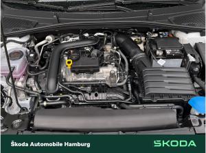 Skoda Fabia Tour 1.0 TSI 7-Gang-DSG _LGE