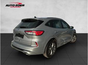 Ford Kuga ST-Line Automatik (Ganzjahresreifen)