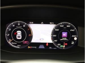 Cupra Formentor VZ 2.0 TSI 4Drive DSG / Matrix, Pano