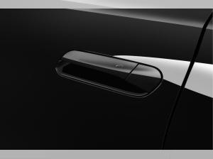 Cupra Tavascan Endurance 210 kW (286 PS) 77 kWh