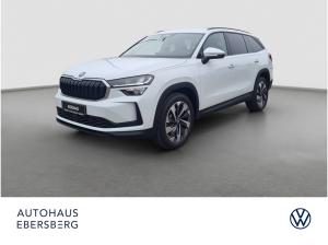 Skoda Kodiaq 2.0 TDI 4x4 Selection StHzg Kamera