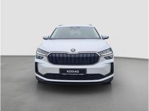 Skoda Kodiaq 2.0 TDI 4x4 Selection StHzg Kamera