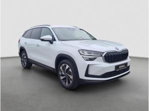 Skoda Kodiaq 2.0 TDI 4x4 Selection StHzg Kamera