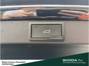 Skoda Octavia Combi Selection TDI DSG AHK Fahrassistenz-Paket Infotainment-Paket Plus