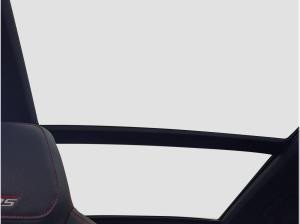 Skoda Kodiaq RS 4x4 MATRIX StHzg AHK Pano 360°