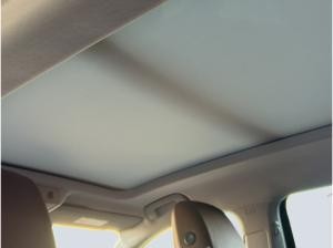 Skoda Kodiaq 1.5 TSI mHEV 110kW Selection -Sofort verfügbar-