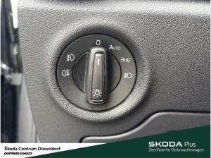 Skoda Fabia Drive TSI DSG Fahrassistenz-Paket Infotainment-Paket Panoramadach fest